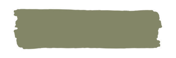 Vintage Paint Wild Sage - Image 2