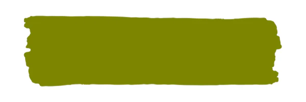 Vintage Paint Olive (ER) - Image 2