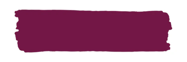 Vintage Paint Wild Plum (ER) - Image 2