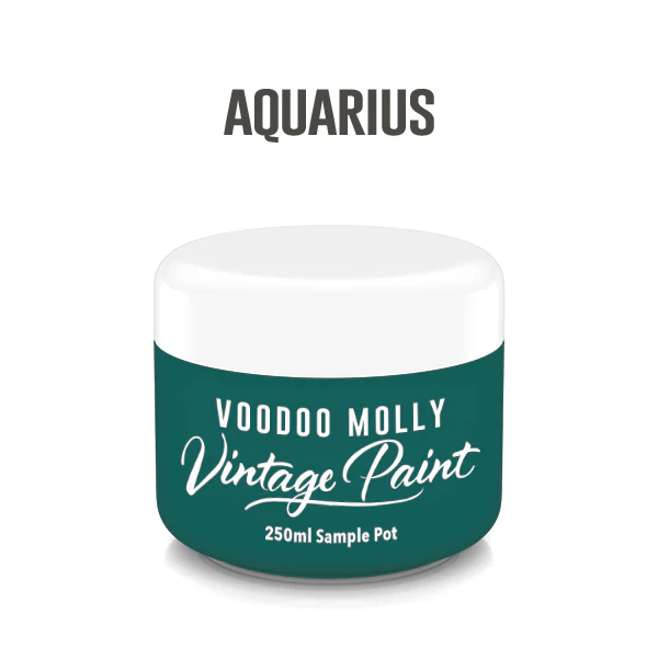 Vintage Paint Aquarius (ER) - Image 3