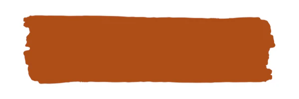 Vintage Paint Spice (ER) - Image 2