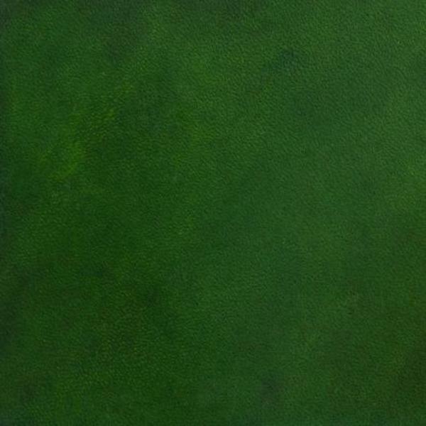 FIEBING'S LeatherColors - Image 4