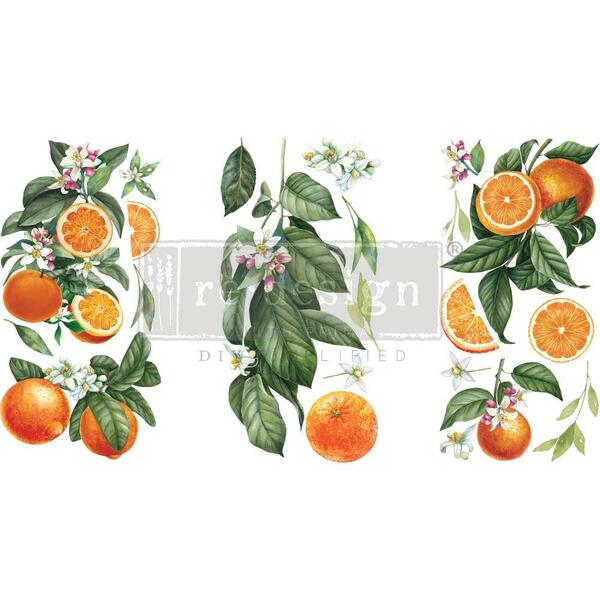 REDESIGN Transfer Citrus Slice