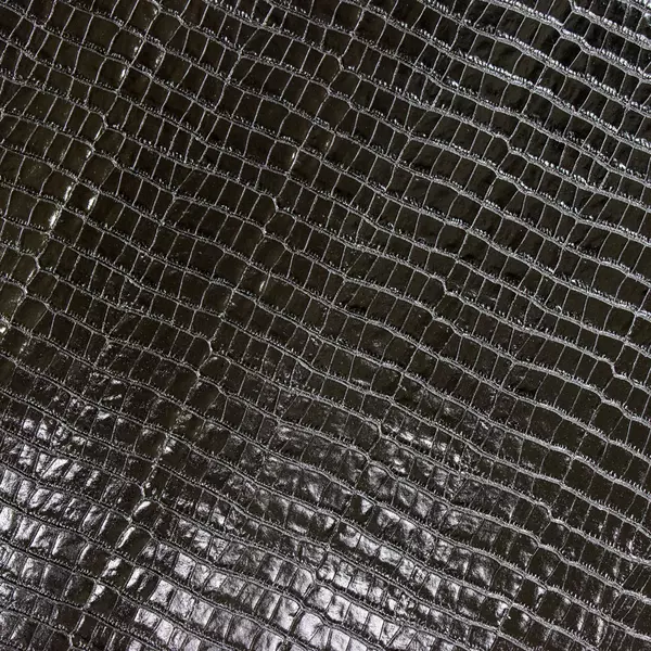 LEATHER Chrome Tanned Gloss Embossed / Side - Image 3